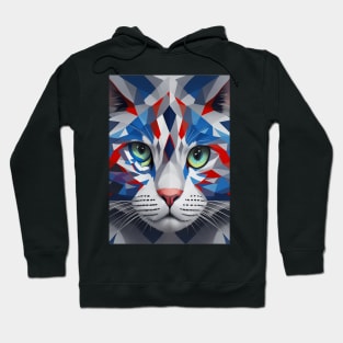 Patriotic Purrfection Hoodie